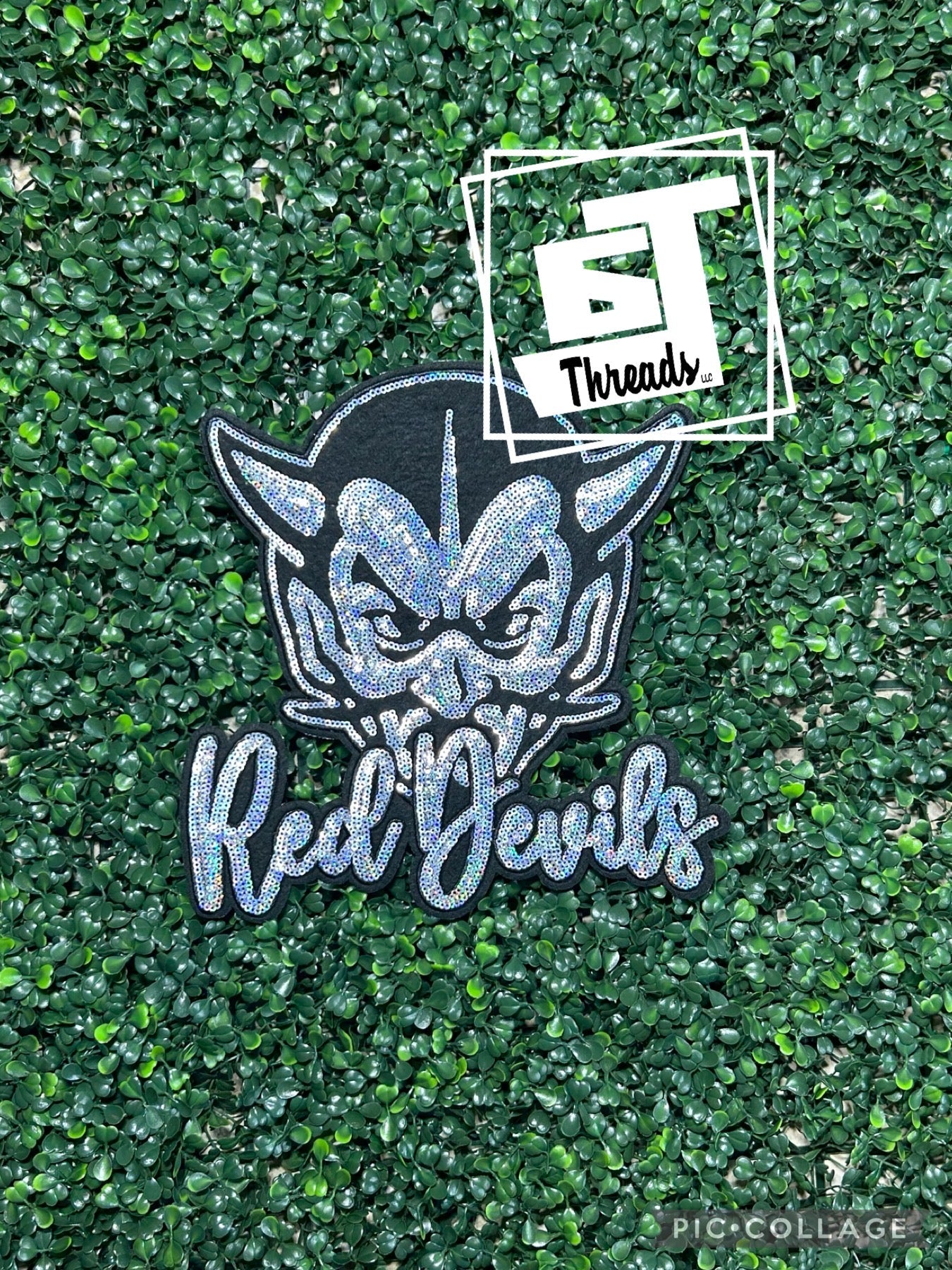 Silver sequins with black felt background with red devils head